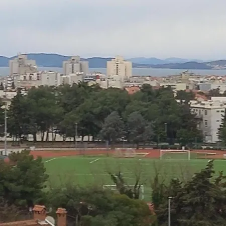 Pavlica