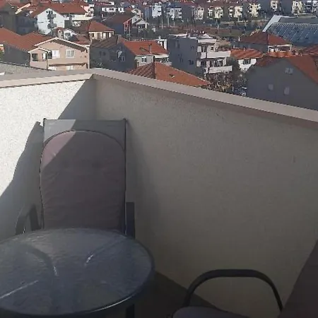 Pavlica * Zadar