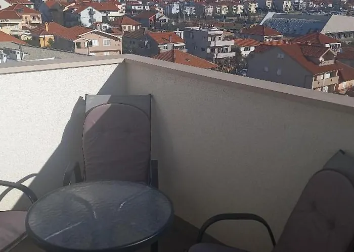 Pavlica * Zadar